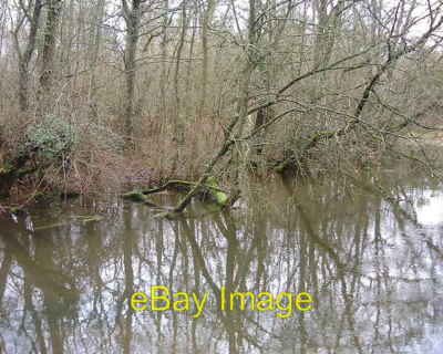 Photo 6x4 Barton Stacey -  River Dever Recent heavy rain has raised the l c2008