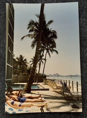 FOUND VINTAGE PHOTO PICTURE woman in bikini laying out getting tan under Palms