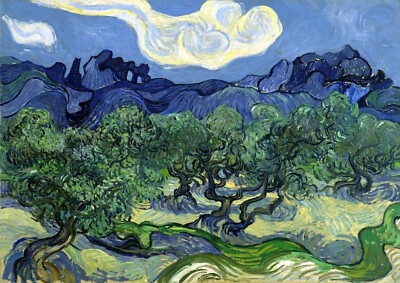 1682 - The Olive Trees by Vincent van Gogh - Giclee Fine Art Print