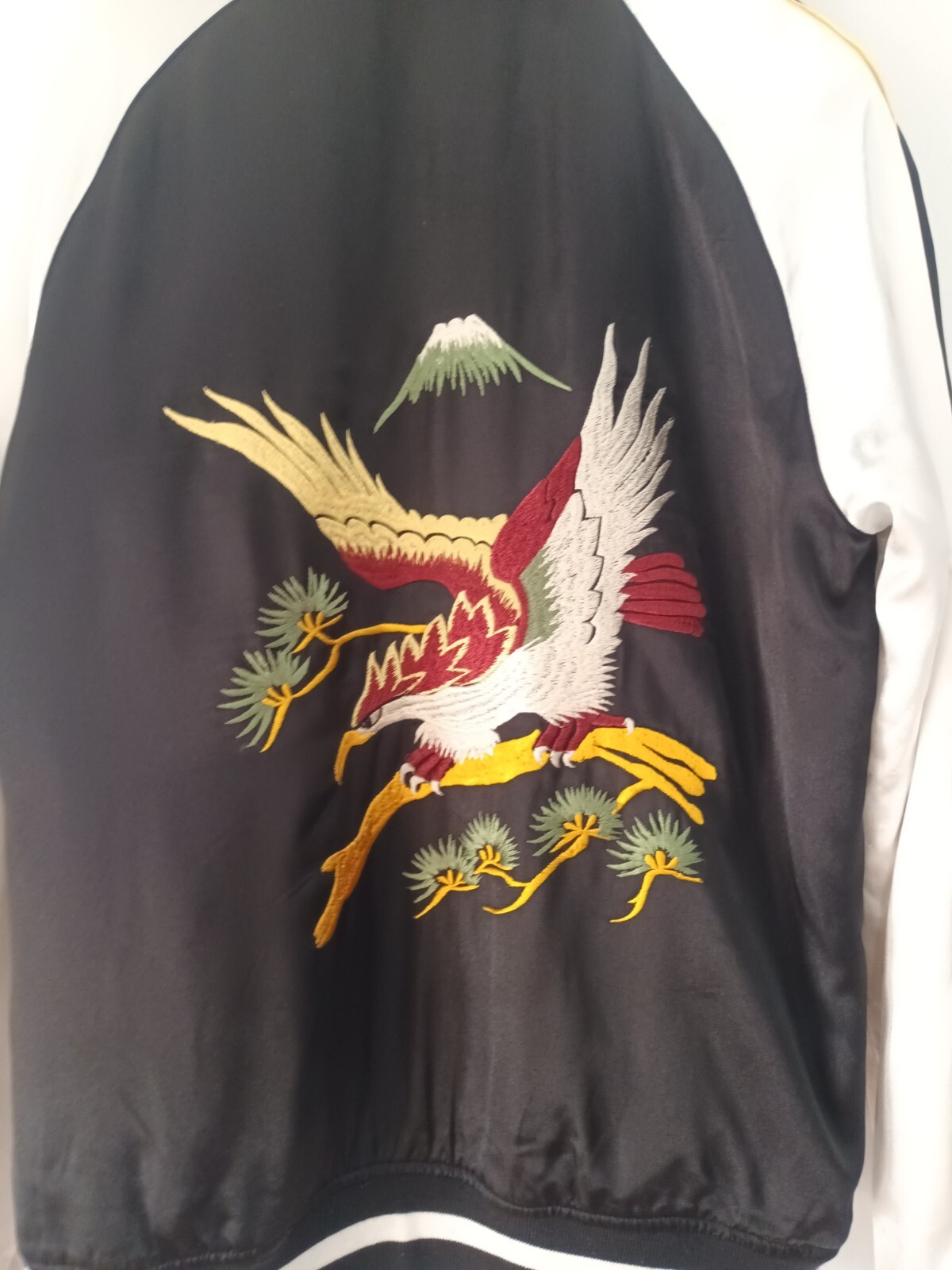Picture 5 of 13