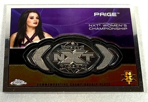 Paige WWE | eBay