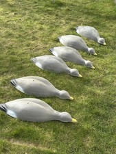 6 x Goose Decoys - Half Shell Stacking Plastic Type - Large 80cm FREE POSTAGE