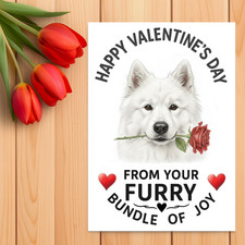 Samoyed Valentine’s Day Card from the dog Dog Valentines Card