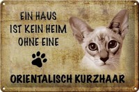 Blechschild Spruch 30X20 Cm Orientalisch Kurzhaar Katze Deko Schild Tin Sign