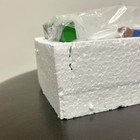 Foto 15 di 15