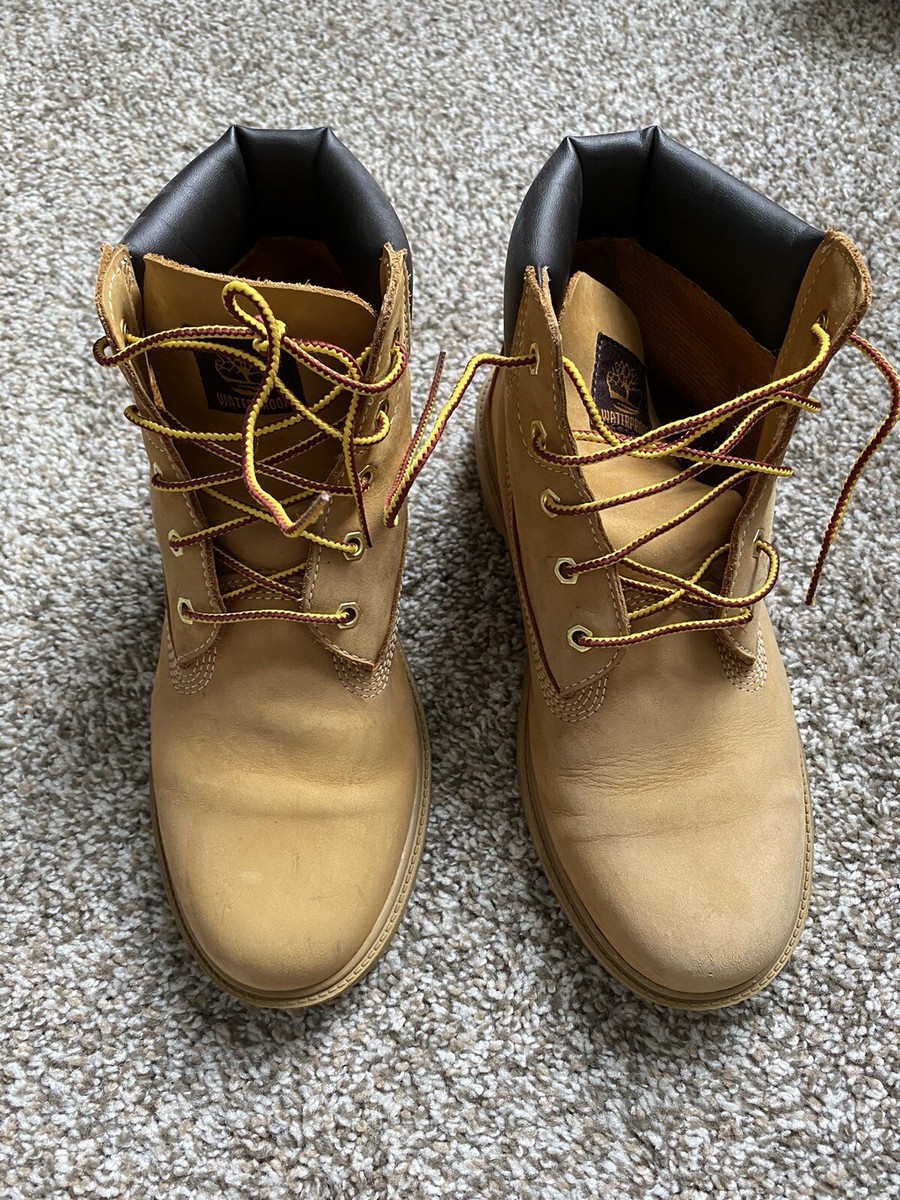 Timberland Classic Wheat 6 Inch Boots Nubuck Youth Big Kids  display picture 2