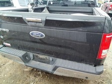 Trunkhatchtailgate With Tailgate Step Fits 15-17 Ford F150 Pickup 2032052