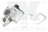 Nk Agr Ventil 4599048 FüR Renault Megane 2 BM0 Coupé EM0 KM0 LM0 Laguna BG0 KG0