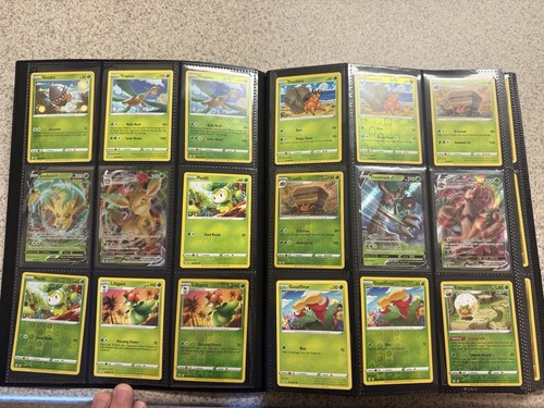 Pokemon Evolving Skies Master Set 1-165 99% Complete