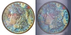 1886-P NGC MS64 CAC MORGAN $ VIBRANT COLORFUL RAINBOW TONING (VIDEO)