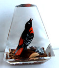 Vintage Hand Carved Painted Oriole Bird Lucite/acrylic Unique Canada Paperweight — photo 3