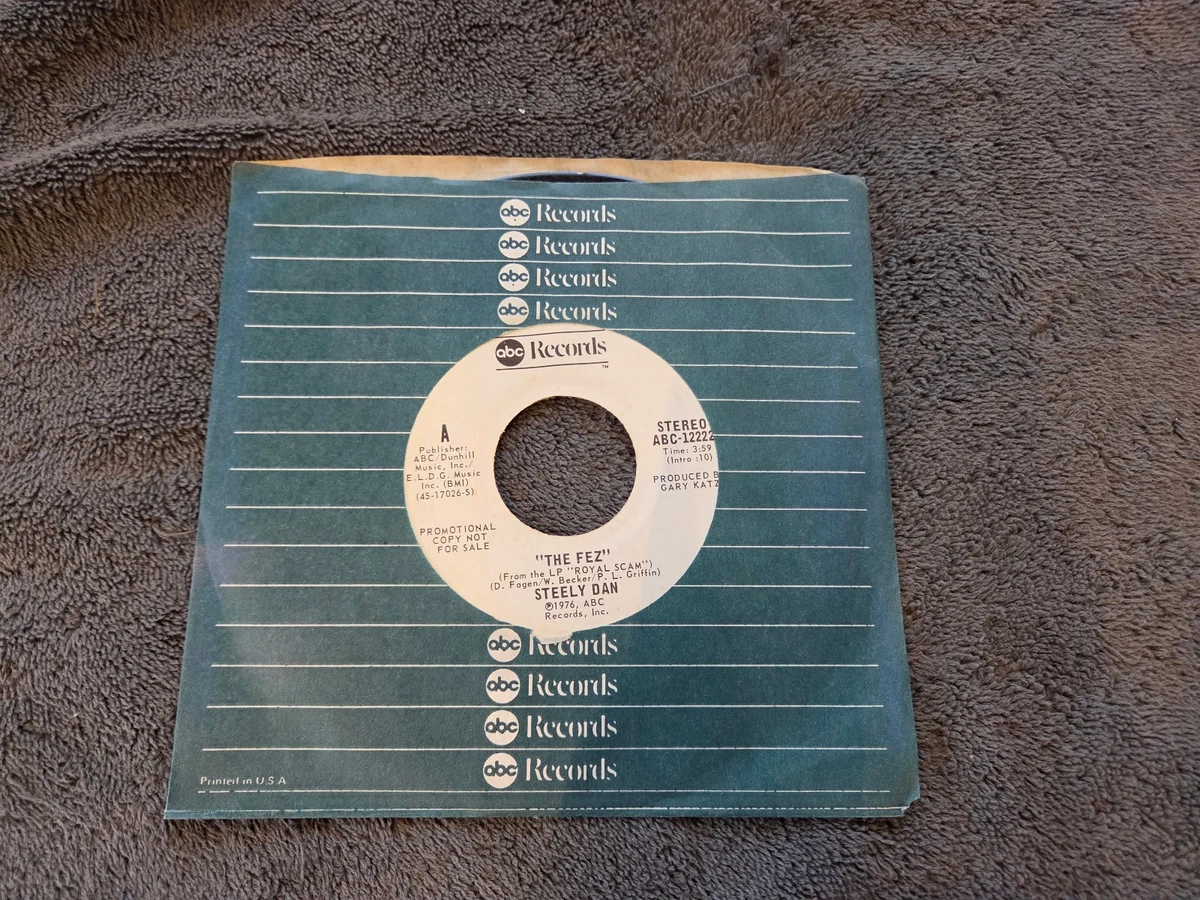 Vinyl Records Steely Dan 7