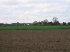 View towards Morton Common Farm Looking across the farmland in  c2006