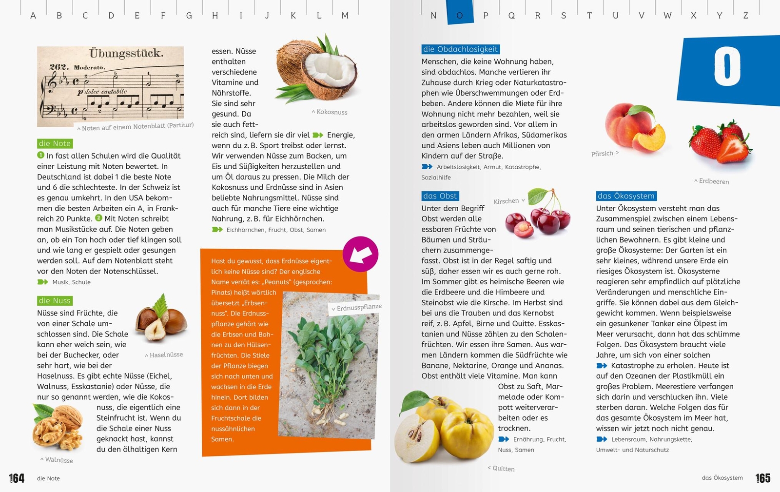 Thumbnail - Das Ravensburger Grundschullexikon Von A Bis Z Bietet Jede M ...