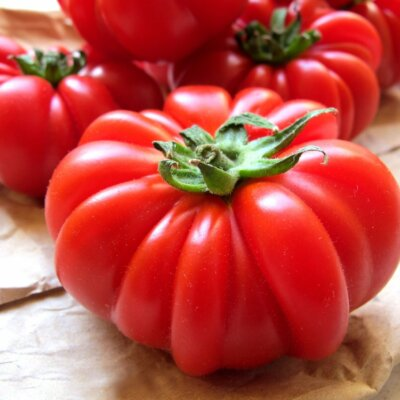 #ad Costoluto Genovese Tomato Seeds Italian Ribbed NON GMO FREE SHIPPING $28.79