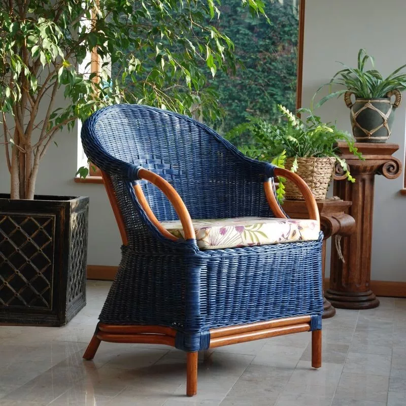 Rattan and cane sale chair