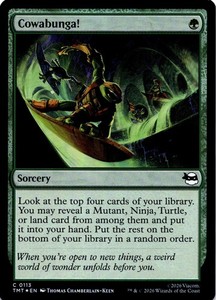Cowabunga! 113/343 Teenage Mutant Ninja Turtles Foil