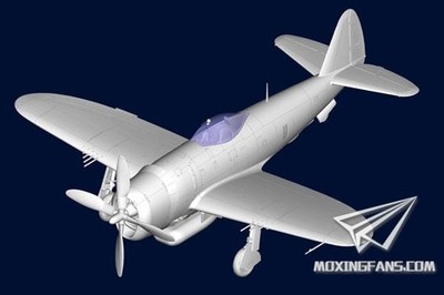 P-47D Thunderbolt Fighter 148