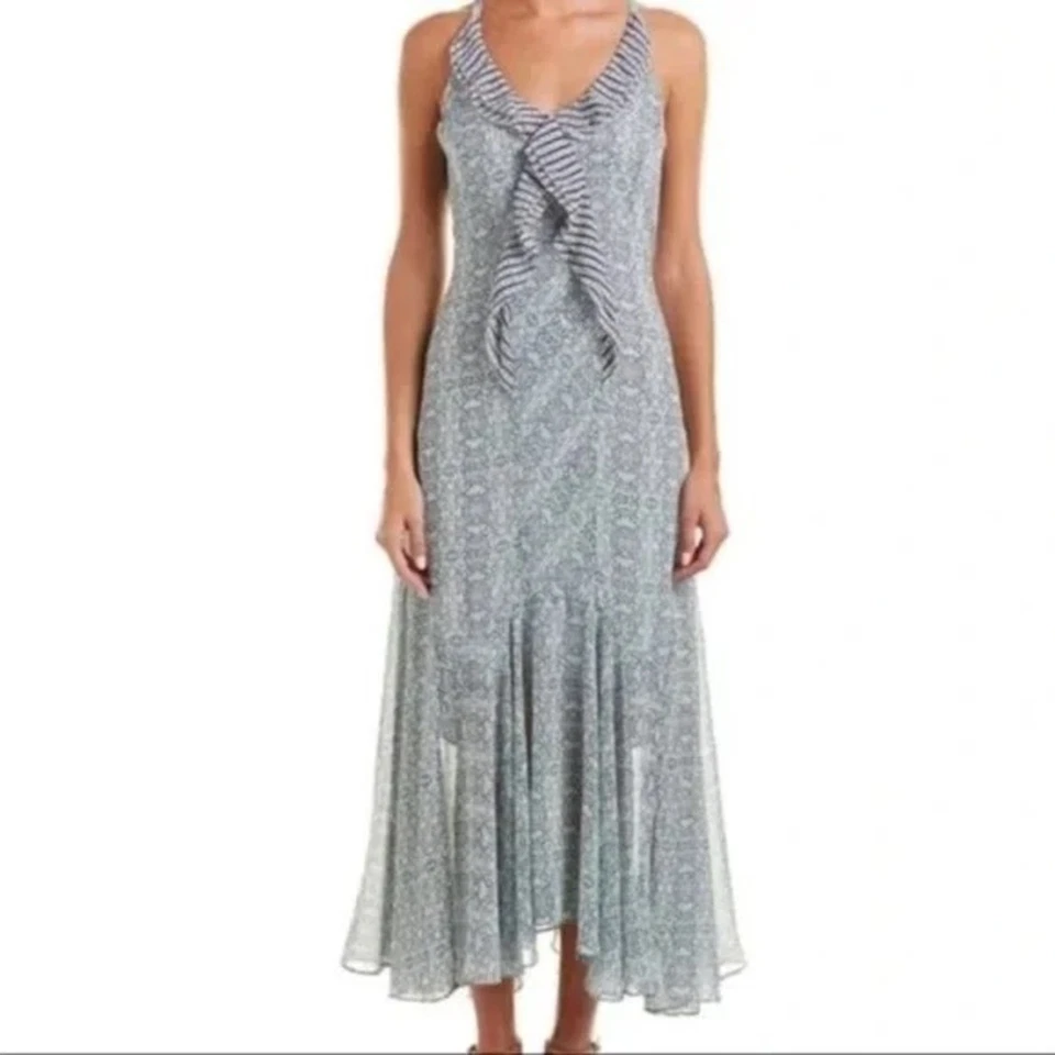 Maxi Vestido CABI Jardín Fiesta Talla 6 Foto 2 de 4