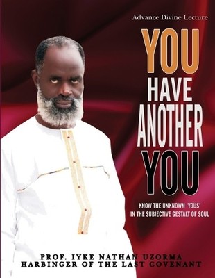 Prof Iyke Nathan Uzorma You Have Another You (Paperback)