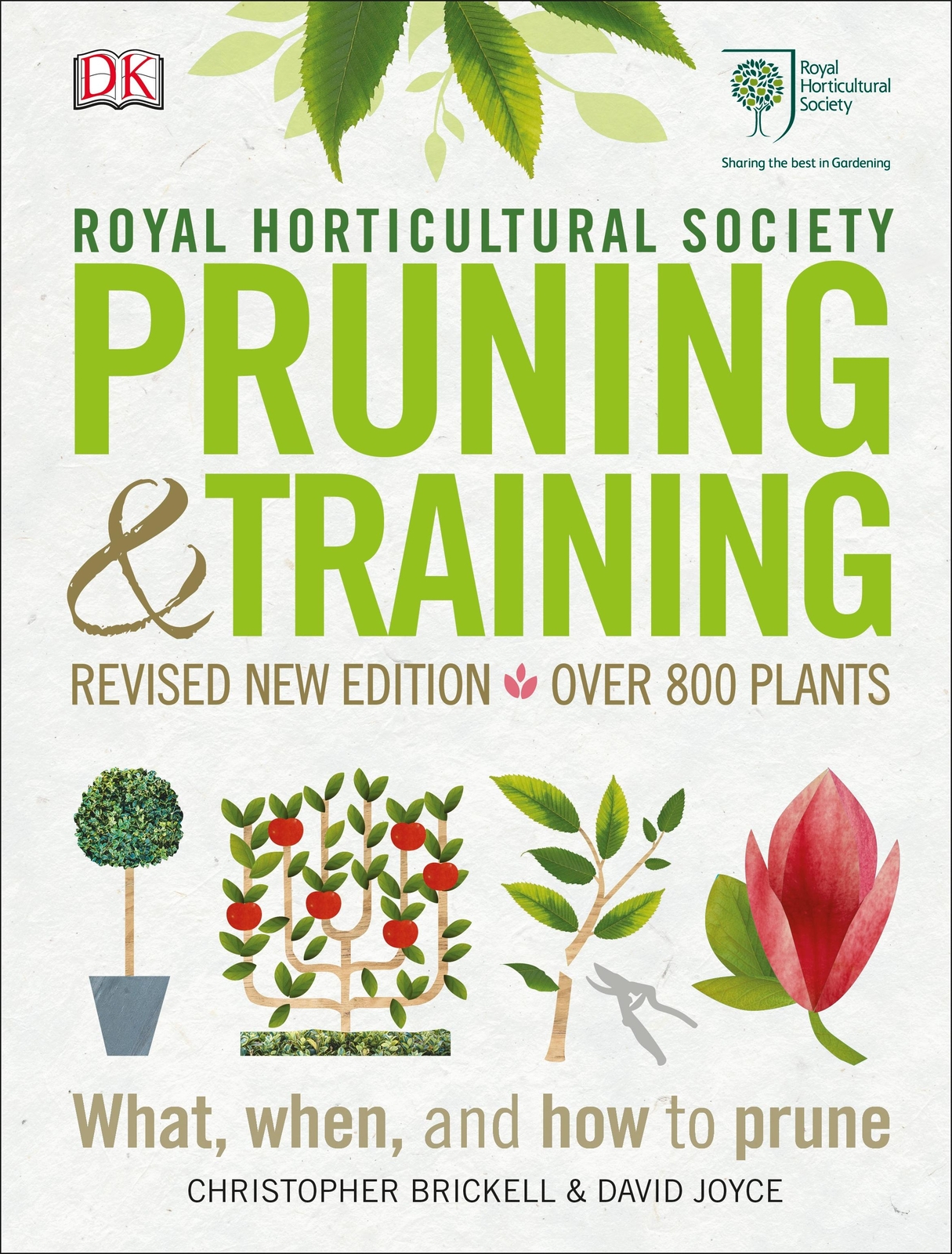 Thumbnail - Rhs Pruning And Training Christopher Brickell