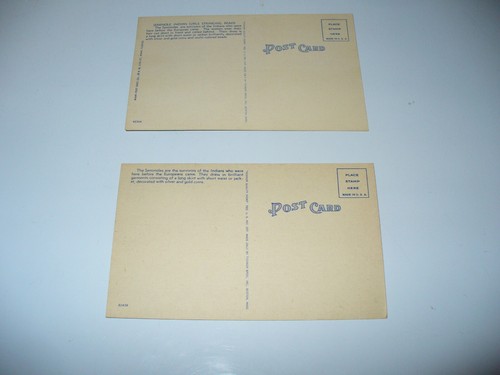 Lote de 2 postales vintage de lino indio Seminole, nativos americanos sin usar - Imagen 2 de 4