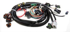 Holley Fuel Injection Harness - Tpistealth Ram Main Harness