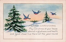 Postcard Vintage(1)CT,New Haven Merry Christmas P 12/22/1922 (#258)