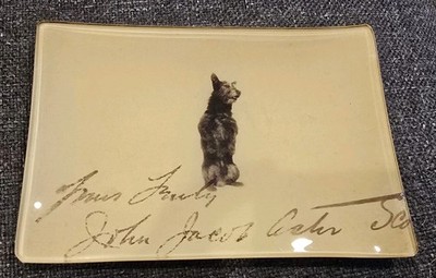 Signed John Derian Decoupage Plate Scottie Dog Pattern Paperweight
