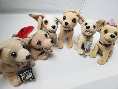 stuffed toy chihuahua dog