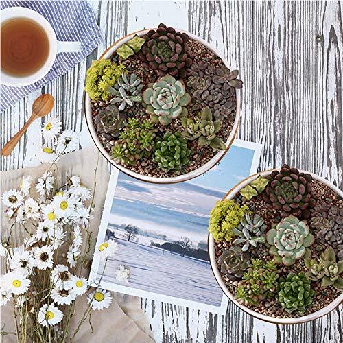 Succulent Pots, 6 inch White Ceramic Flower Planter Pot Bamboo Tray, Pack of 2 - Picture 4 of 12