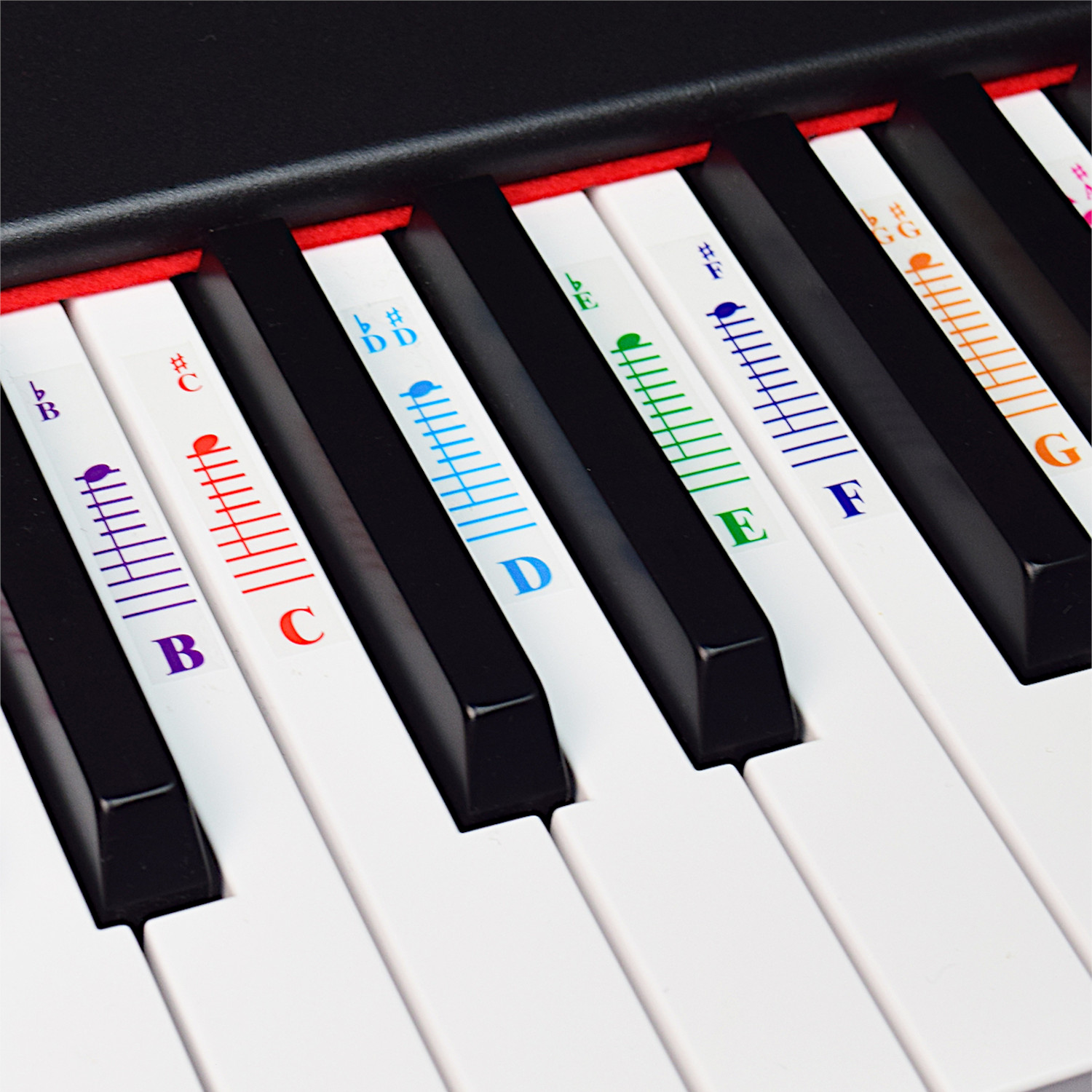 Piano Stickers for All White Keys (49/61/76 /88 Key Keyboards)  