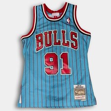Chicago Bulls Light Blue Dennis Rodman 91 Mitchell Ness 95-96 Swingman Jersey S