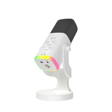 Professional Dynamic Microphone - USB/XLR RGB Mic with Echo Adjustment, Mute ...