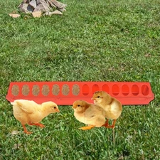 Chicken Feeder Poultry Feeder Quail Feeder