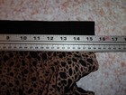 Picture 11 of 12