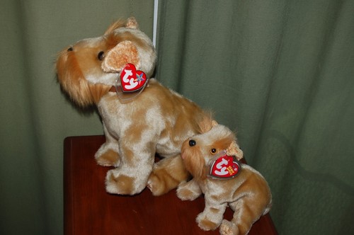 Schnitzel the German Schnauzer DOG - Ty Beanie Baby and BUDDY - MWMT - Picture 3 of 11