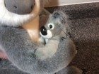 Bild 5 von 8