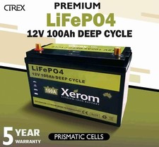12V 100Ah Lithium Iron Battery LiFePO4 Deep Cycle Solar Charger Camping Xerom