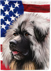 Ck6689Chf Sarplaninac Dog American Flag House Flag Large Porch Sleeve Pole Decor