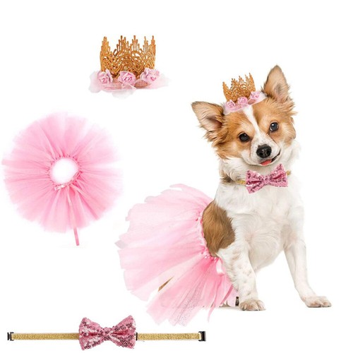 Ensemble De 2024 Jupe Couronne Compagnie Danniversaire Chien Vêtements Pour Animaux
