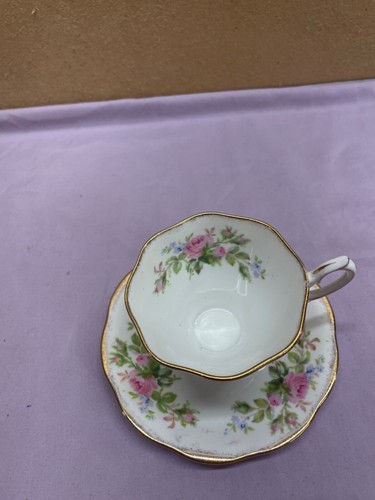 Royal Albert Moss Rose Cup and Saucer Multicolor Floral - Picture 3 of 19