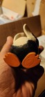 Bild 9 von 13