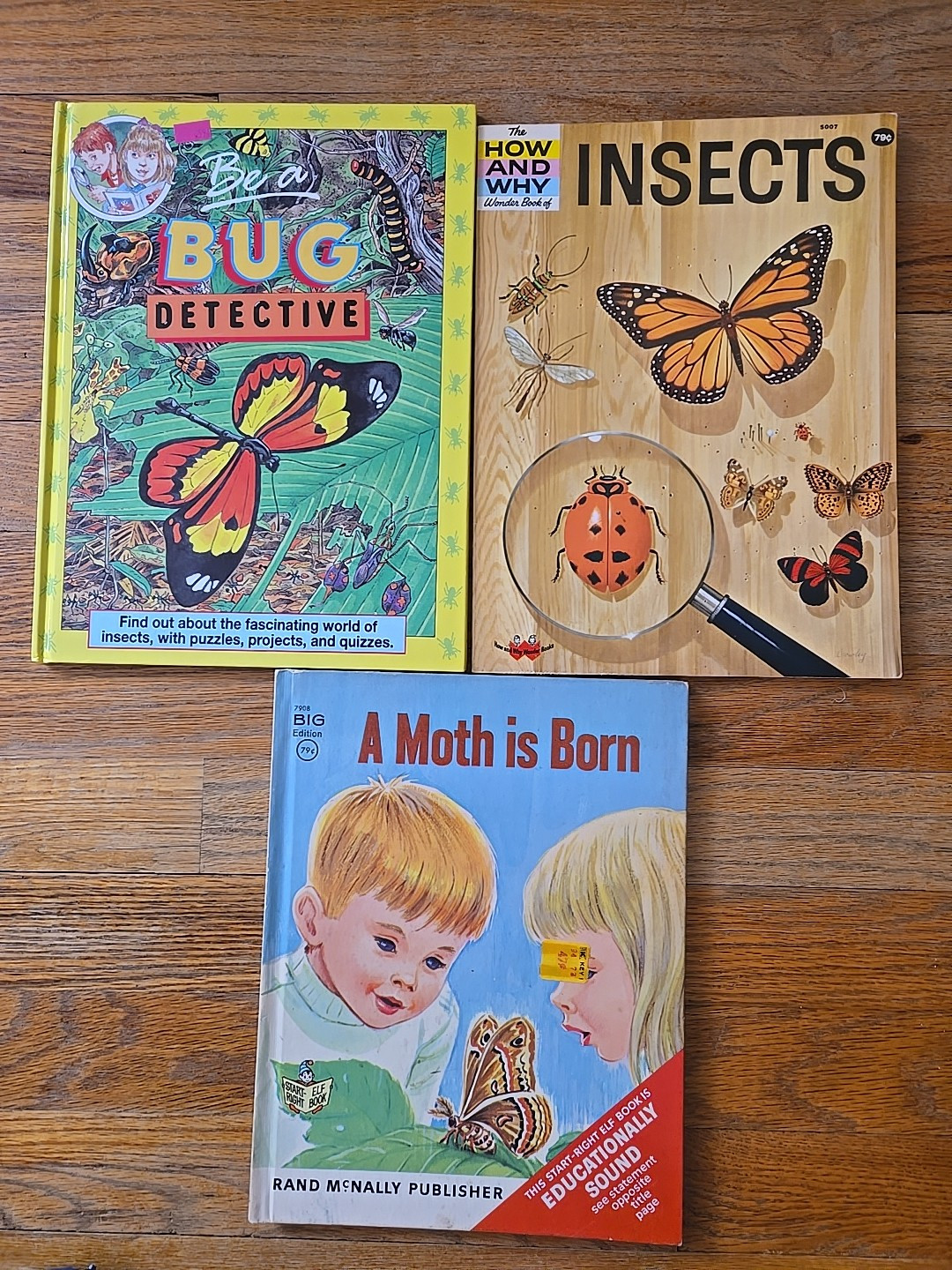 Vintage Bug Insects Children’s Book Lot Including How And Why, Bug Detective, Moth, and Puzzles