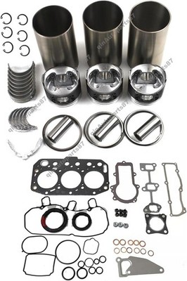 Overhaul Rebuild Kit for Yanmar 3TNV70 Engine Takeuchi TB016 Sunward SWE16 