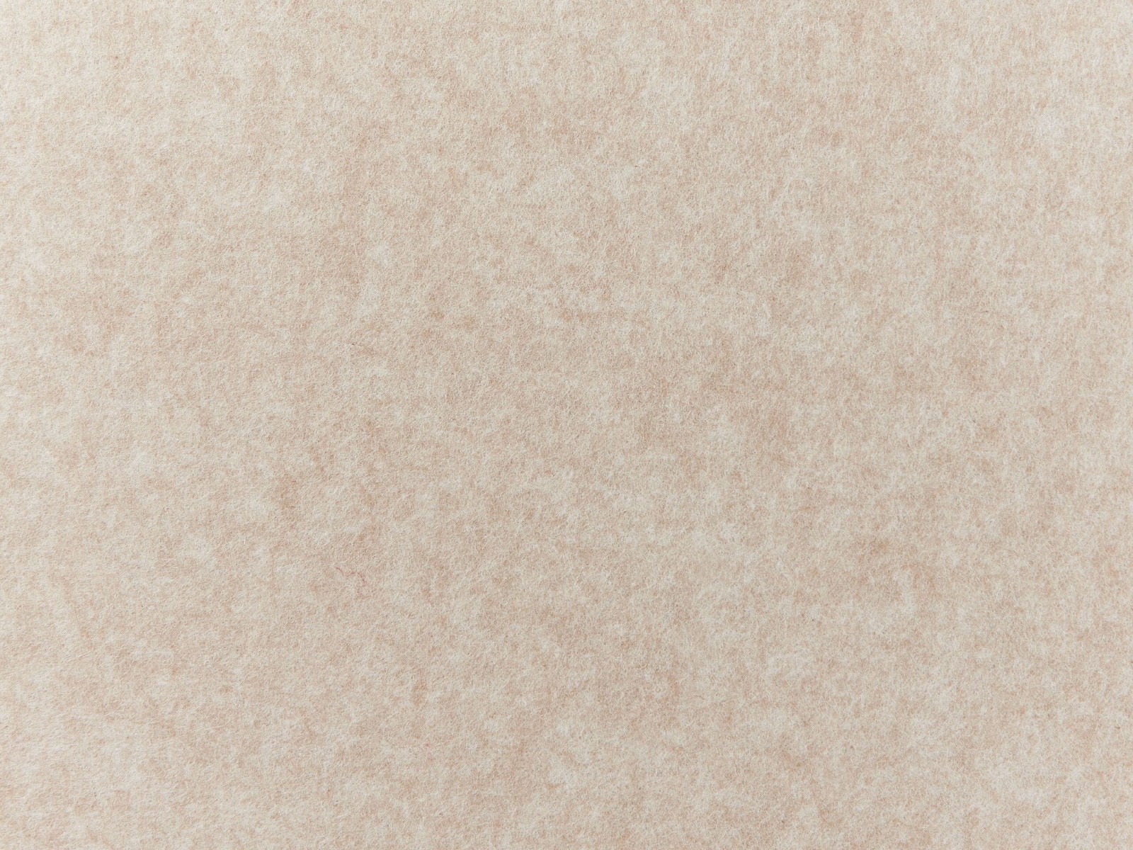 Bild 11 von 11