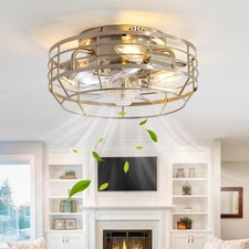 Caged Ceiling Fan with Light and Remote, Flush Mount Fan Lights Ceiling Fixtu...
