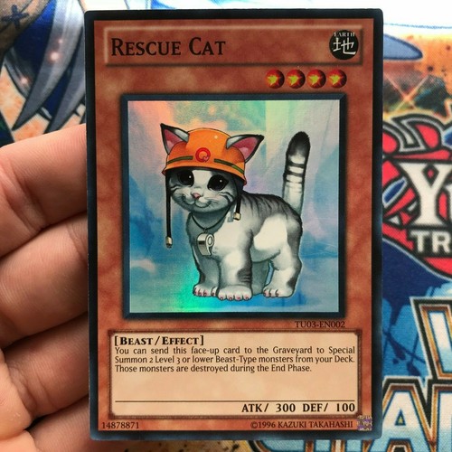 YuGiOh! ¡Selección de 99+ cartas de torneo, campeón y paquete turbo! (TP-CP-TU-AP) - Imagen 297 de 430