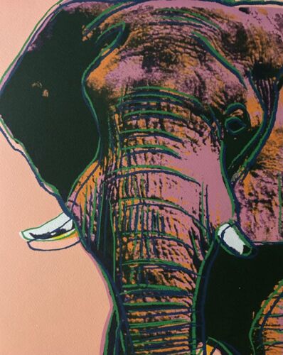 Andy Warhol ""African Elephant"" 1986 CMOA Limited Edition 24x24" O/S Lithographie - Bild 3 von 7