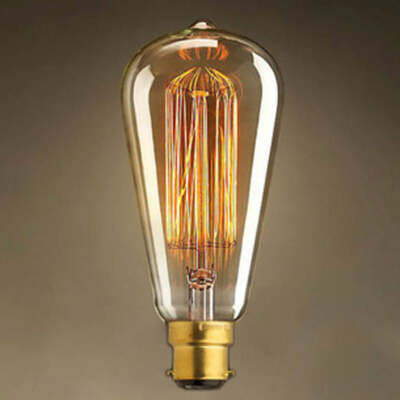 60W 220V Rustikal Vintage Style Eichhörnchenkäfig ST64 BC B22 Amber